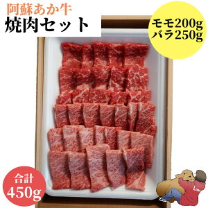 hēp@450g@o@@Y  a ԋ   j a  O Hi r[t o[xL[ BBQ ȒP h F{ Ⓚ Hו ̓ y 