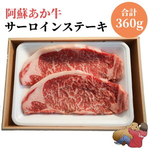 hT[CXe[L 180gx2@Y  a ԋ   j a  O Hi r[t o[xL[ BBQ ȒP h F{ Ⓚ Hו ̓ y 