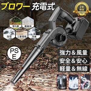 ブロワー コードレス 充電式ブロアー ロワ 集塵 両用 掃除機 送風機 洗車専用 18vバッテリーと併用 交換可能 送風機 充電器付き 落ち葉集め 吹き飛ばし