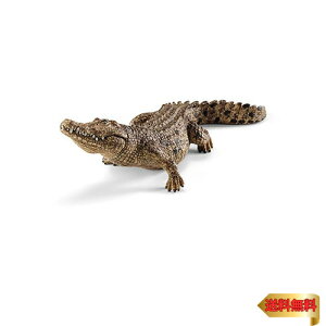 y}\ő46{zVCq(Schleich) ChCt j tBMA 14736