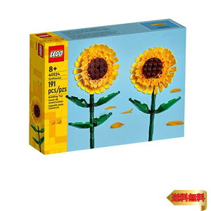 y}\ő46{zS(LEGO) S(R)Ђ܂  ߋ v[g ubN CeA  ̎q j̎q q 7 8 9 10 