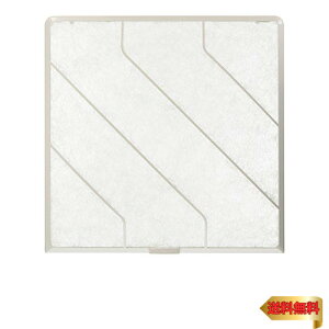 y}\ő46{zPanasonic (pi\jbN) ֗ptB^[ FY-FST20