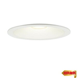 y}\ő46{zpi\jbN(Panasonic) LED _ECg V䖄^ 100` 150a dF LSEB5615LE1