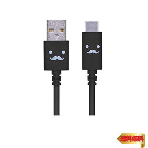 y}\ő46{zGR USB Type-A to Type-C [dP[u15W 3A }[d USB2.0i 1.2m yiPhone15 Ή