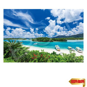 y}\ő46{zG|bN 1000s[X WO\[pY {i Ί_̕ɂC- (50×75cm) 09-039s ̂t wt _t