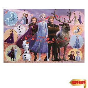 y}\ő46{zG|bN 1000s[X WO\[pY fBYj[ Frozen 2 Collection(Frozen 2 RNV) (50×75c