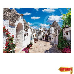 y}\ő46{zG|bN 2016x[X[s[X WO\[pY COi EY Axxb[C^A] (50×75cm) 22-111s 