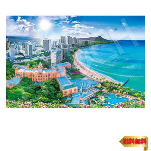 y}\ő46{zG|bN 1000s[X WO\[pY COi P̃CLLr[`-nC (50×75cm) 09-026s ̂t wt _