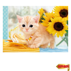 y}\ő46{zG|bN 108s[X WO\[pY /ybg ˂ ˂̂Ȃ₷ (18.2×25.7cm) 01-057 ̂t wt