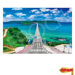 y}\ő46{zG|bN 1000s[X WO\[pY {i CƊp勴[R (50×75cm) 09-030s ̂t wt _t