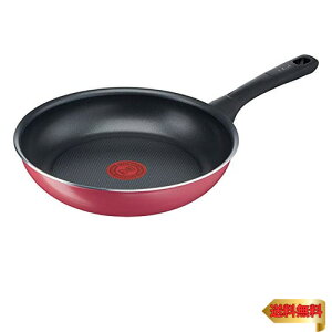 y}\ő46{zeBt@[ tCp 24cm KXΑΉ uNx[bh tCpv тɂ bh B55904