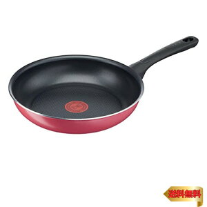 y}\ő46{zeBt@[ tCp 26cm KXΑΉ uNx[bh tCpv тɂ bh B55905