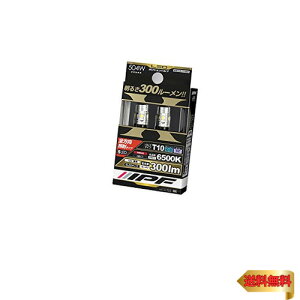 �y�}���\���ő�46�{�zIPF �|�W�V���������v LED �ԗp T10 300lm 6500K �z���C�g 12V�p 2�{�� �Ԍ��Ή� �m�C�Y�΍�� �S�����Ǝ� �n�C���[