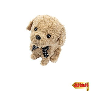 y}\ő46{zZKgCY(SEGA TOYS) RR  AvRbg