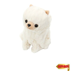 y}\ő46{zZKgCY(SEGA TOYS) RR Premium |jA