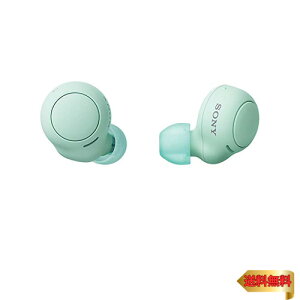 �y�}���\���ő�46�{�z�\�j�[(SONY) ���S���C�����X�C���z�� WF-C500 : /�y�ʏ��^5.4g/�����x�ʘb�i��/�ȒP�y�A�����O/IPX4�h�H���\/�A�C�X�O��