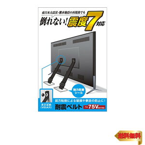 �y�}���\���ő�46�{�z�G���R�� �ϐk�x���g �e���r�p 75�C���`�܂őΉ� �l�W�ǂ߃^�C�v TS-006N