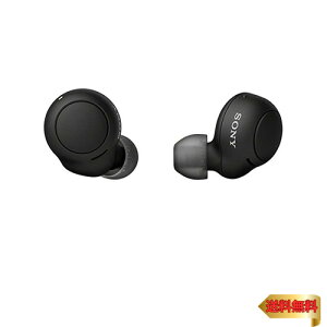 �y�}���\���ő�46�{�z�\�j�[(SONY) ���S���C�����X�C���z�� WF-C500 : /�y�ʏ��^5.4g/�����x�ʘb�i��/�ȒP�y�A�����O/IPX4�h�H���\/�u���b�N