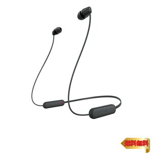 �y�}���\���ő�46�{�z�\�j�[ ���C�����X�C���z�� WI-C100:Bluetooth�Ή�/25���ԃX�^�~�i/IPX4�h�H/DSEE���� �u���b�N WI-C100 BZ