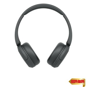 �y�}���\���ő�46�{�z�\�j�[(SONY) ���C�����X�w�b�h�z�� WH-CH520:Bluetooth�Ή�/�y�ʐ݌v ��147g/��p�A�v���Ή��ɂ��D�݂̉����ɃJ�X�^