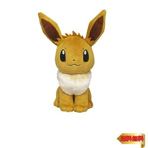 y}\ő46{zOpf |PbgX^[ ALL STAR COLLECTION C[uC (M) W20×D26.5×H32cm ʂ |P P