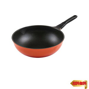 y}\ő46{zatCY tCp u ؗ uߓ JrbN 30cm BIGTCY KXΐp `^oAR[g RA-9690