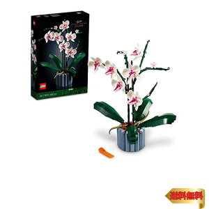 y}\ő46{zS(LEGO) Ӓ NX}Xv[g NX}X 10311 CeA  ԑ   ubN a v[g