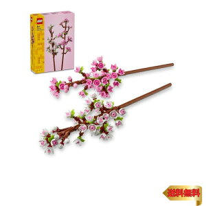 y}\ő46{zS(LEGO) S(R)   ߋ v[g ubN ̎q j̎q q 7 8 9 10 w CeA 