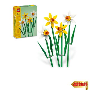 y}\ő46{zS(LEGO) S(R) bpXCZ  ߋ v[g ubN ̎q j̎q q 7 8 9 10 w 