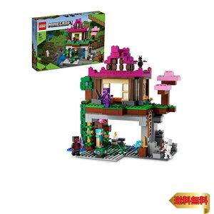 y}\ő46{zS(LEGO) }CNtg P 21183  ubN v[g erQ[   j̎q ̎q 8Έȏ