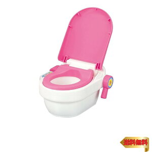 y}\ő46{zpCbgR[|[V(PILOT CORPORATION)  p[c ̂񂵂イɂgC