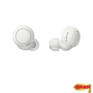 y}\ő46{z\j[ SCXCz WF-C500 : /yʏ^5.4g/xʘbi/ȒPyAO/IPX4hH\/zCg WF-C50