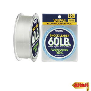 y}\ő46{z[X(MORRIS) VbN[_[ ooX tJ[{ 30m 18 60lb i`