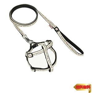 y}\ő46{zyeBI (Petio) JWA fjX^Cn[lX&[h zCg ^p SS TCY