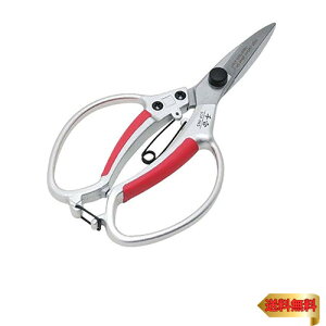 y}\ő46{zg A A~ ʐn ؒfڈ8mm܂ SGP-5NS