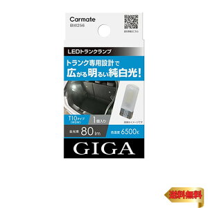 y}\ő46{zJ[Cg(CARMATE) ԗp LED gN p GIGA gNv R80T 6500K  BW256