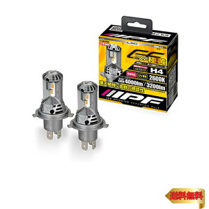 y}\ő46{zIPF wbhCg tHOv LED ԗp H4 Hi Loؑ 4000lm 3200lm 2600K CG[ 12Vp 2{ Ԍ