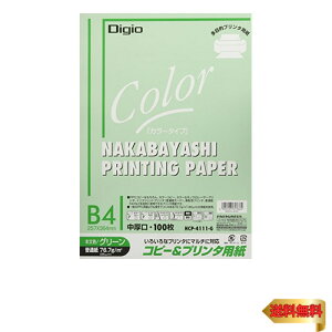 iJoV Rs[p J[^Cv 100 B4 O[ HCP-4111-G