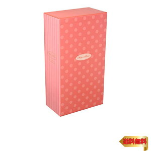 ナカバヤシ ファイル ポケットアルバム 504枚 レッド ア-PL-504-1-R