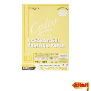 iJoV Rs[p J[^Cv 100 B5 CG[ HCP-5101-Y