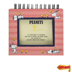 ナカバヤシ フレームケースアルバム スヌーピー ア-FTPC-202-1