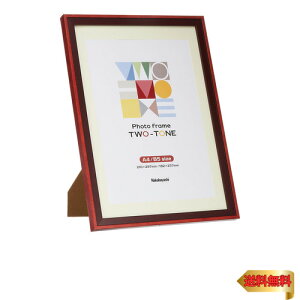 iJoV c[g tHgt[ A4EB5 bh F-TMS-411-R