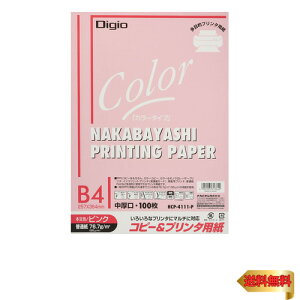 iJoV Rs[p J[^Cv 100 B4 sN HCP-4111-P