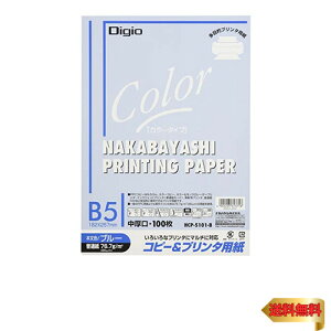 iJoV Rs[p J[^Cv 100 B5 u[ HCP-5101-B