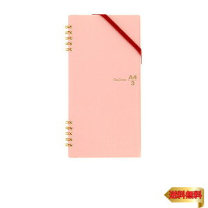 PLUS(vX) vX m[g   5mm J.NG cCO A4×1/3 RT-650GC  77-912