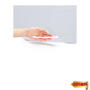 vX fXN}bg   GRm~[^Cv 600×450mm 41-008