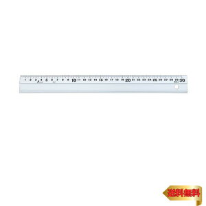 V(Shinwa Sokutei) A~ A 30cm Xx~Ȃ 65501