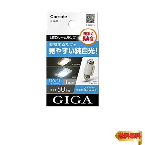 J[Cg(CARMATE) GIGA ԗp LED[v 6500K y 邭 z ₷ T10×31 Ή 1