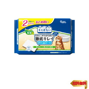 GG[ Pet L~ OLCV[g ̑  L