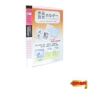 ZLZC ܏z_[ A3 sN SSS-230